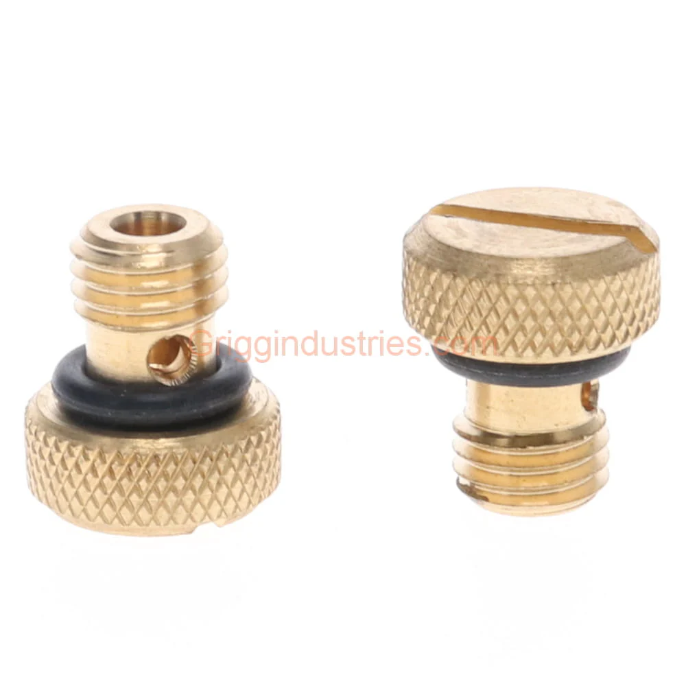 Champion RK-29C Brass Bleed Screw - Image 2