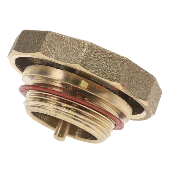 Champion RK-41C-075 3/4" Brass Anti-Siphon Cap - Image 3