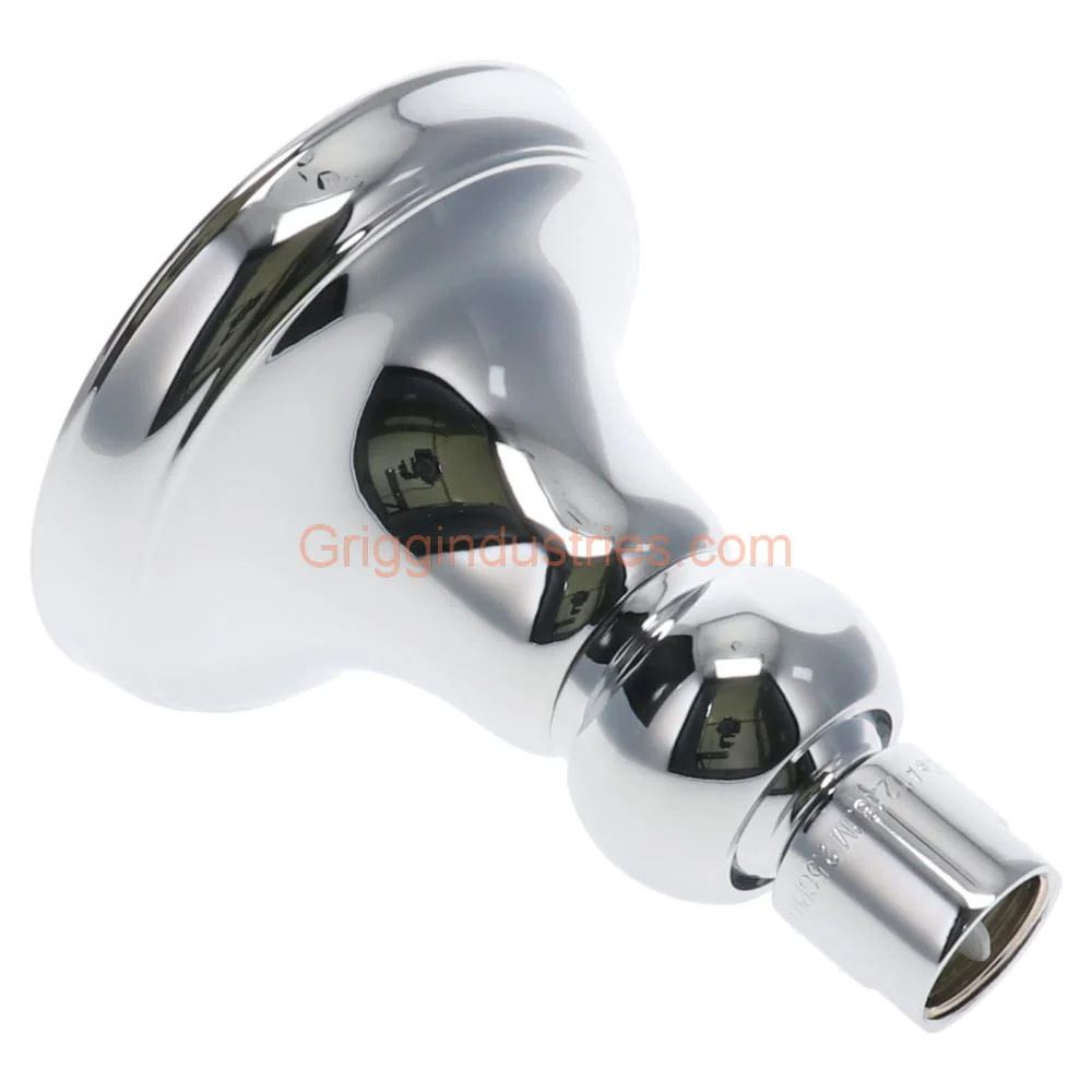 Danze S1215G03 Chrome Shower Head - Image 2